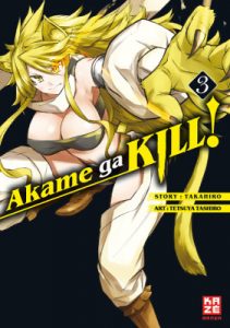 akame-ga-kill-band-3-cover